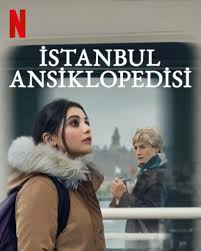 伊斯坦布尔百科全书(全集)