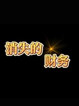 消失的财务 第11集