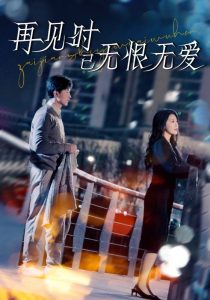 再见时已无恨无爱(全集)