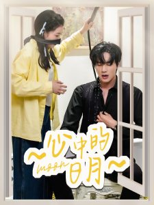 心中的日月(全集)