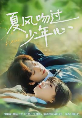 夏风吻过少年心(全集)