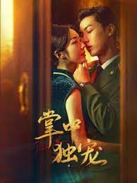 掌中独宠 第17集