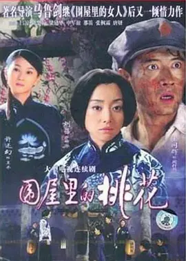 围屋里的桃花 第13集