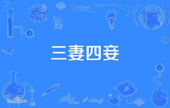 三妻四妾 第14集